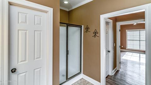 401 Ash Tree Ln, Madison, MS 39110 photo 28