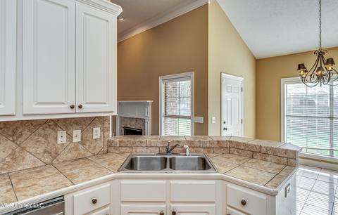 401 Ash Tree Ln, Madison, MS 39110 photo 14