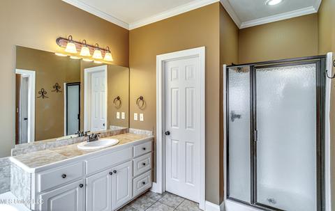 401 Ash Tree Ln, Madison, MS 39110 photo 26