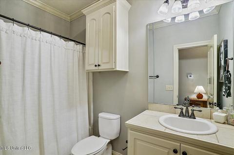 501 Pinebark Cv, Brandon, MS 39047 photo 22