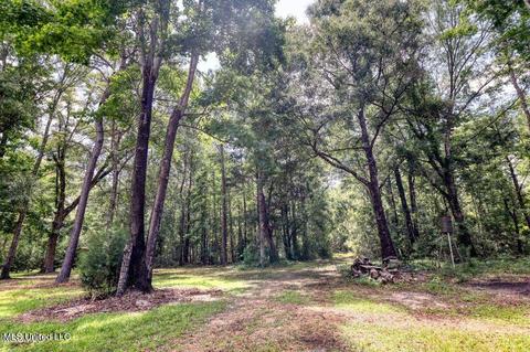 149 Tom Garner Rd, Mchenry, MS 39561 photo 5