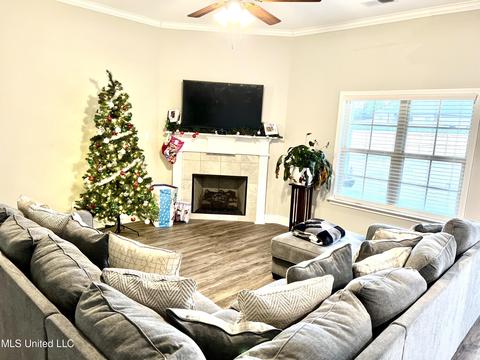 574 Wooten Cv, Nesbit, MS 38651 photo 11