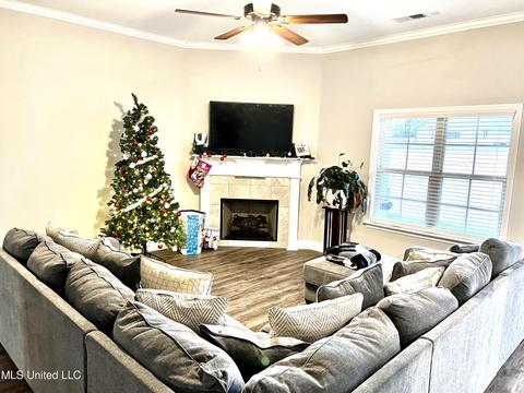 574 Wooten Cv, Nesbit, MS 38651 photo 12