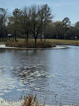 12775 Highway 613, Moss Point, MS 39562 photo 28