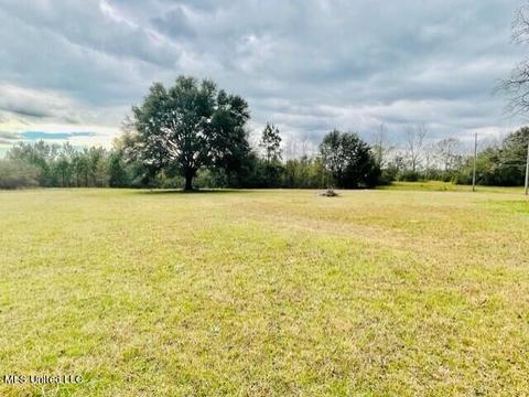 23542 Mitchell Rd, Picayune, MS 39466 photo 15