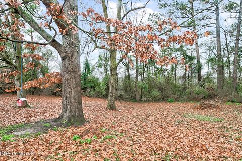 3899 Midway Rd, Carthage, MS 39051 photo 9