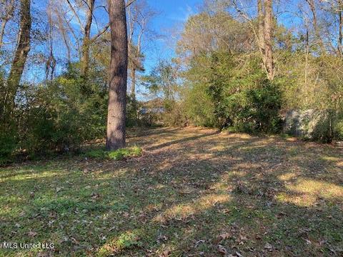 218 W Santa Clair St, Jackson, MS 39212 photo 3