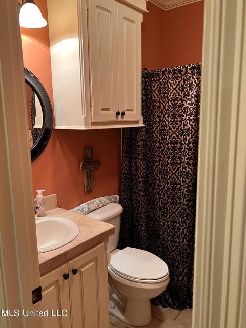 315 Turtle Holw, Brandon, MS 39047 photo 17
