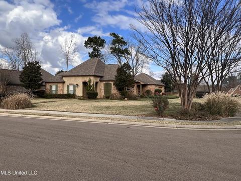 315 Turtle Holw, Brandon, MS 39047 photo 1