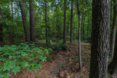 126 Evergreen Dr, Brandon, MS 39042 photo 43