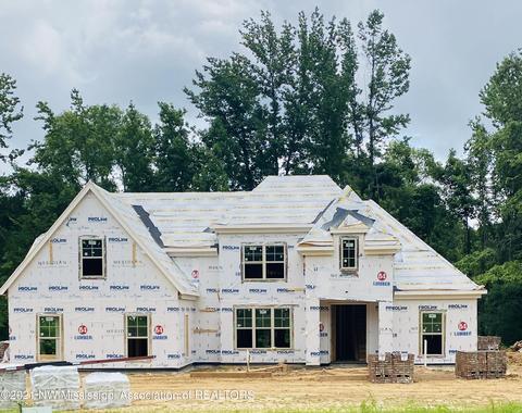 860 Lloyds Ln, Nesbit, MS 38651 photo 1