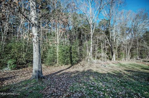 118 Fordham Ct, Brandon, MS 39047 photo 5