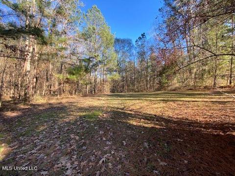 3758 Hwy 471, Brandon, MS 39047 photo 5
