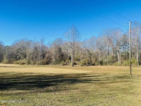 1466 Ainsworth Rd, Florence, MS 39073 photo 52