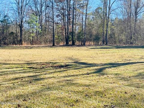 1466 Ainsworth Rd, Florence, MS 39073 photo 55
