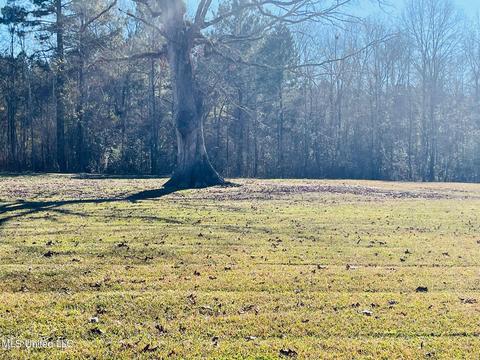 1466 Ainsworth Rd, Florence, MS 39073 photo 56