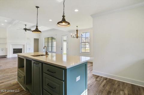 403 Pilot Cir, Brandon, MS 39047 photo 9