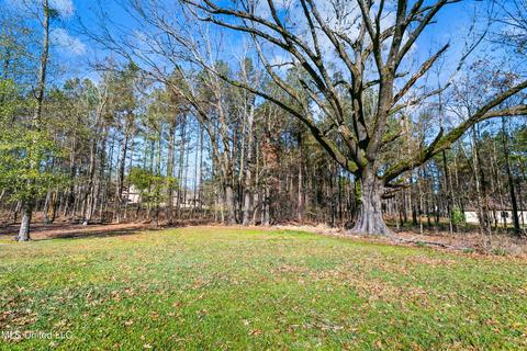 161 View Pointe Dr, Clinton, MS 39056 photo 57