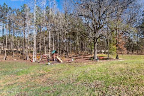 161 View Pointe Dr, Clinton, MS 39056 photo 54