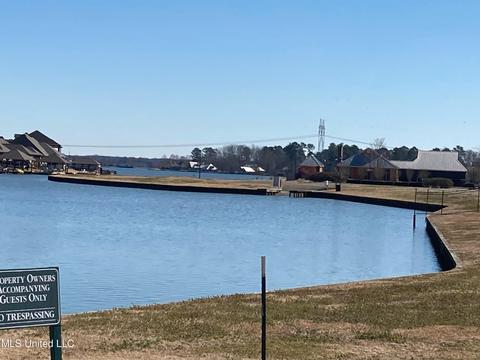 105 St Martin St, Madison, MS 39110 photo 20