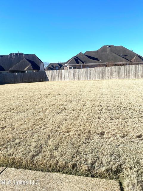 13303 Lapstone Loop, Olive Branch, MS 38654 photo 4
