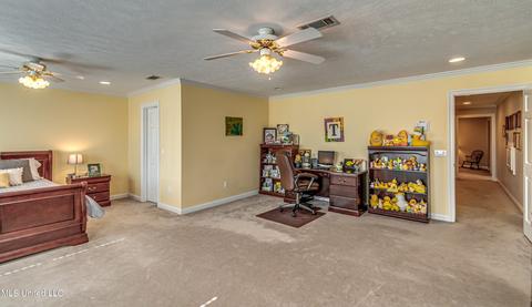 172 Old Post Office Rd, Magee, MS 39111 photo 69