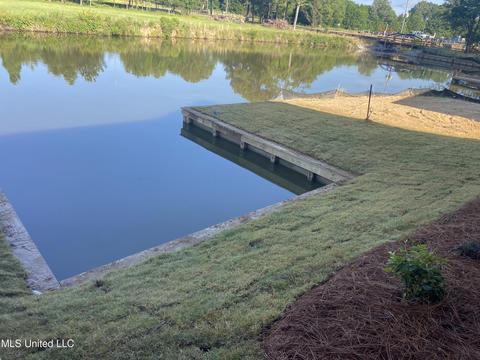 101 Harbor Vw, Madison, MS 39110 photo 21