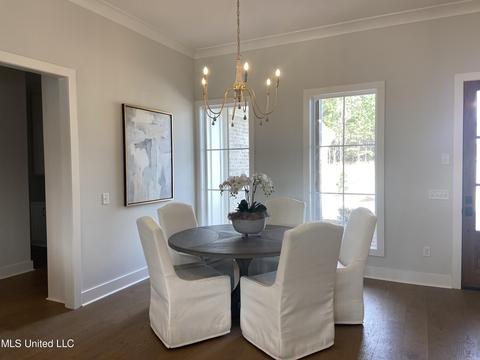 101 Harbor Vw, Madison, MS 39110 photo 17
