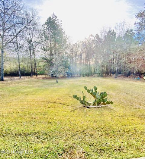 3209 Ryan Cv, Byram, MS 39272 photo 36