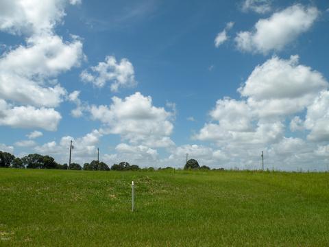 30 Sandra Parker Dr, Lucedale, MS 39452 photo 5