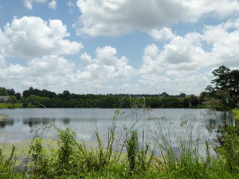 30 Sandra Parker Dr, Lucedale, MS 39452 photo 31