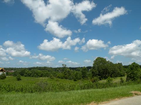 30 Sandra Parker Dr, Lucedale, MS 39452 photo 7