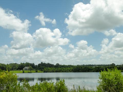 30 Sandra Parker Dr, Lucedale, MS 39452 photo 33