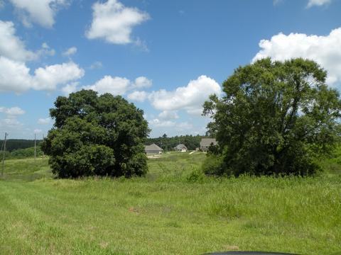 14 R Williams Ln, Lucedale, MS 39452 photo 3