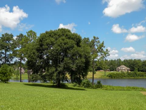 14 R Williams Ln, Lucedale, MS 39452 photo 16