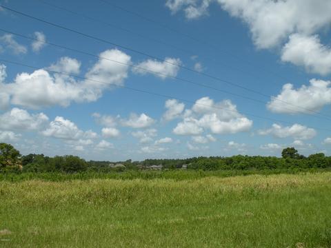 14 R Williams Ln, Lucedale, MS 39452 photo 9
