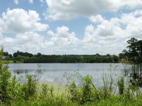 14 R Williams Ln, Lucedale, MS 39452 photo 30