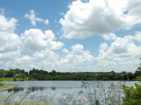 14 R Williams Ln, Lucedale, MS 39452 photo 32