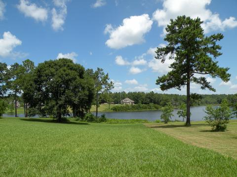 14 R Williams Ln, Lucedale, MS 39452 photo 14