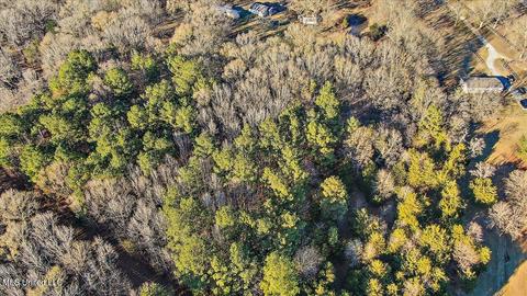 2400 Stigger Rd, Jackson, MS 39209 photo 5