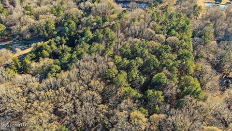 2400 Stigger Rd, Jackson, MS 39209 photo 15