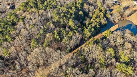 2400 Stigger Rd, Jackson, MS 39209 photo 4
