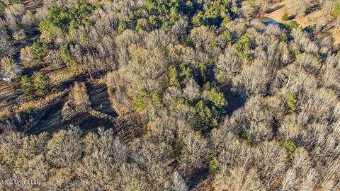 2400 Stigger Rd, Jackson, MS 39209 photo 3
