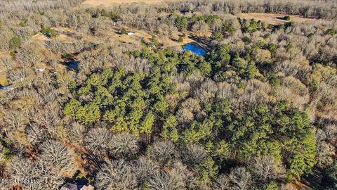 2400 Stigger Rd, Jackson, MS 39209 photo 8
