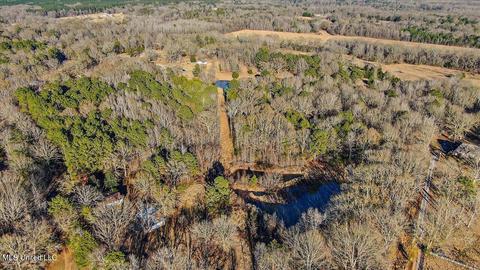 2400 Stigger Rd, Jackson, MS 39209 photo 9