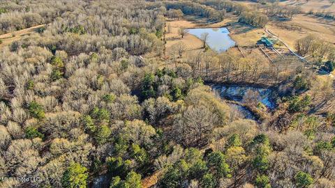 2400 Stigger Rd, Jackson, MS 39209 photo 13