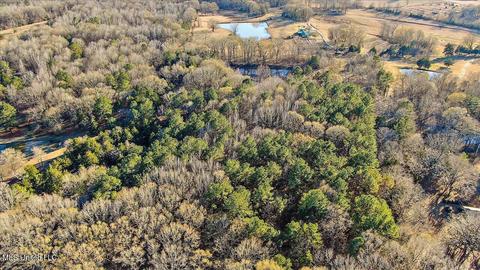 2400 Stigger Rd, Jackson, MS 39209 photo 14