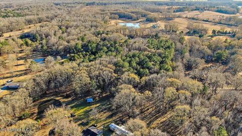 2400 Stigger Rd, Jackson, MS 39209 photo 1