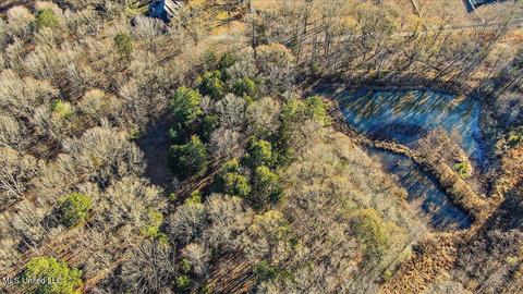 2400 Stigger Rd, Jackson, MS 39209 photo 12