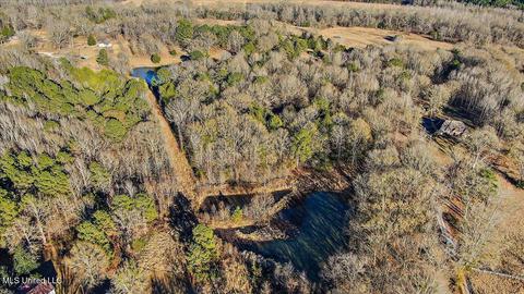 2400 Stigger Rd, Jackson, MS 39209 photo 11